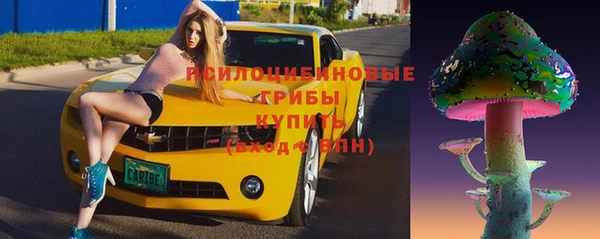 первитин Осинники