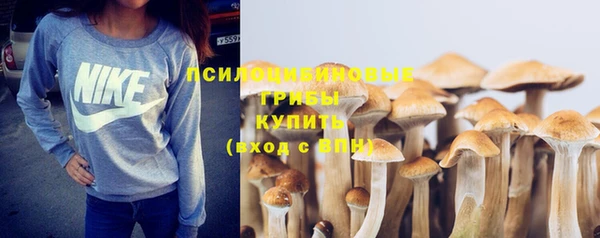 первитин Осинники