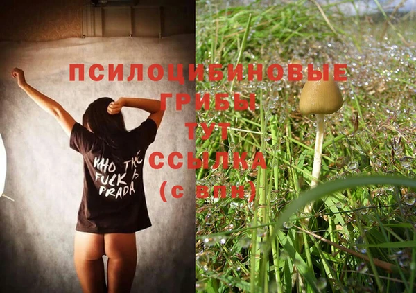 первитин Осинники