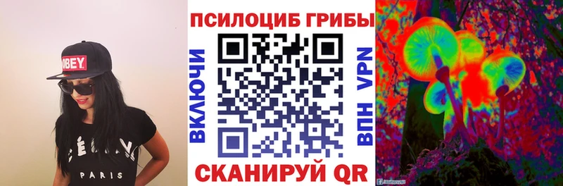 Галлюциногенные грибы Psilocybine cubensis  Белая Холуница 